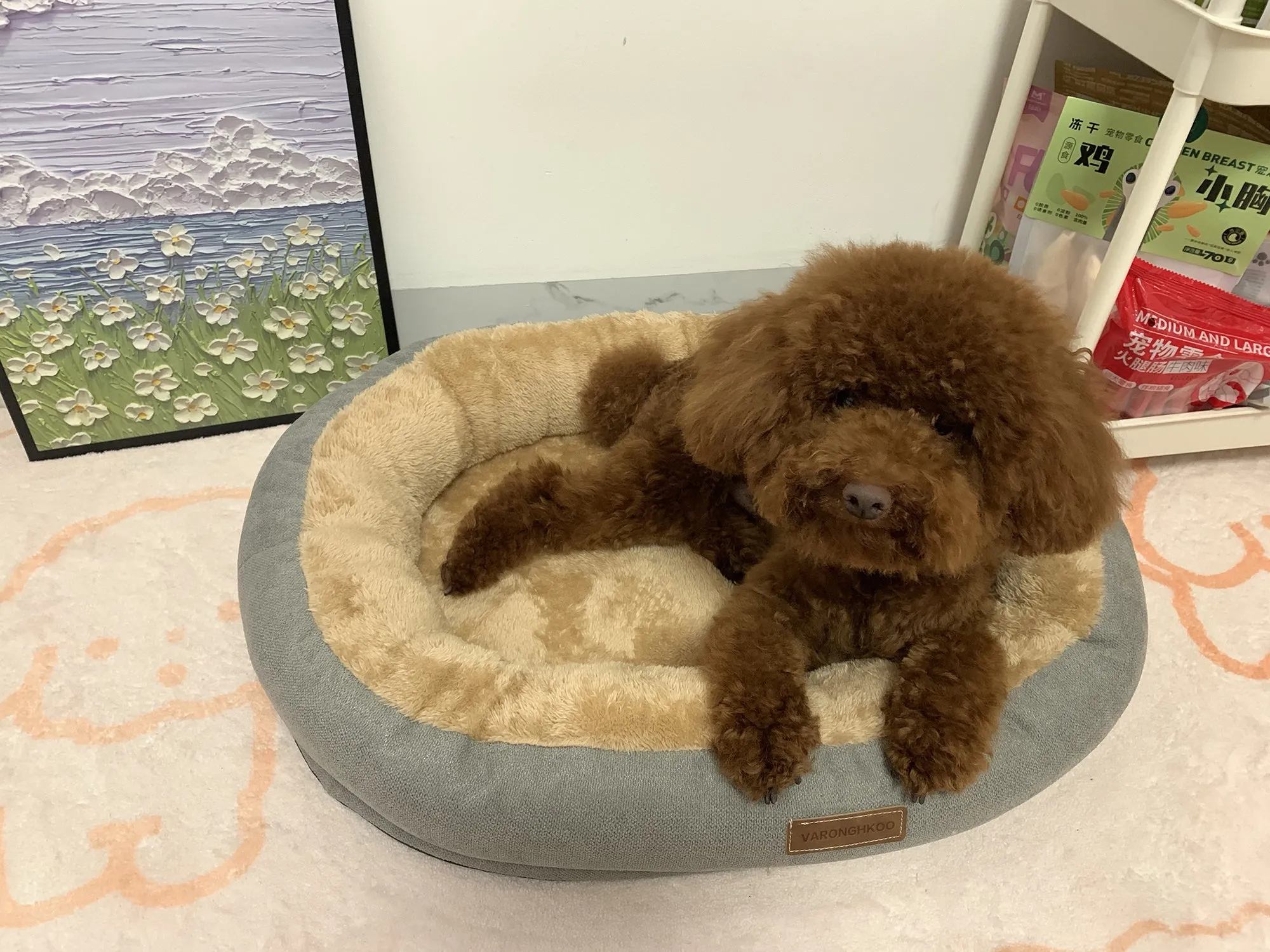 VARONGHKOO Pet cushions, plush soft anti slip pet pad
