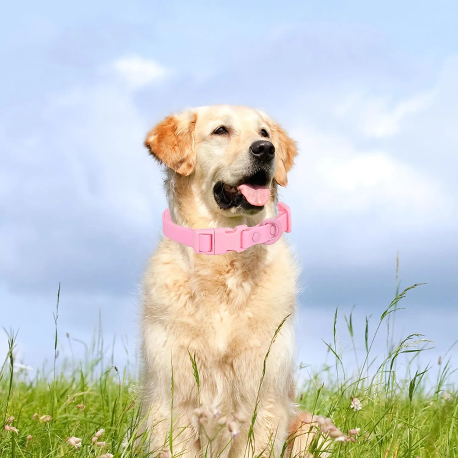 Waterproof Dog Collar Soft Rubber Dog Collar with Safety Buckle Adjustable Pet Collars for Small Medium Large Dogs