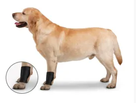ZenPet OrthoWraps Injury Prevention & Recovery Brace