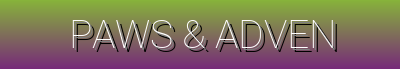 Paws & Adventure | Playtime Fun, Comfort Zone, Adventure Ready, Grooming Must-Haves & Health & Wellness